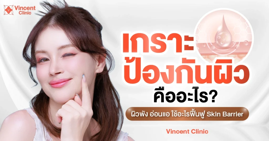 เกราะป้องกันผิวคืออะไร ผิวพัง อ่อนแอ ใช้อะไรฟื้นฟู Skin Barrier